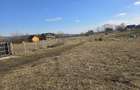 Teren de 10.100 mp, zona de case, in Valea Chintaului