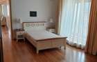 Vanzare apartament penthouse Gradina Icoanei - 12