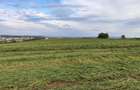COMISION 0%!!! Teren extravilan, 8700 mp, in zona Turda Noua - 7