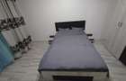 Apartament 2 camere 61 mp Stefan cel Mare Parcul Circului - 7
