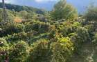 Proprietate cu Doua Case - 7