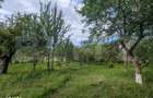 Proprietate de vanzare, 41.16 mp, teren 2.111 mp, zona Sandulesti - Ch - 4