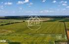 Teren Intravilan 20.000 mp Creata Dascalu, T66 dubla deschidere - 4