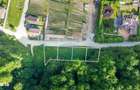 Teren intravilan 2000mp parcelat -ideal rezidential/investitie- Bunloc - 3