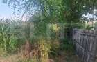Teren de vanzare, 2800 mp, zona Gura Foi