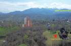 Teren Premium 1.200 mp | Bran - Predelut | Vedere spre Bucegi și Piatra Craiului - 4