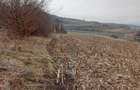 Gradina, teren 3000 mp - 4