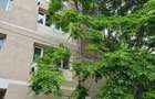 DUPLEX DE VÂNZARE – ZONA VITAN, SECTOR 3 – PREȚ LISTARE 59.500 EURO