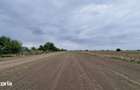 Vanzare Teren 22.800 MP Intravilan Tarla 10?tefanestii de Jos, Zon