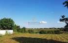 Teren intravilan Adunatii Copaceni | 3.399 mp | Ideal investitie - 7