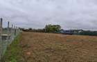 Teren de 2300 mp, în Săcălășeni - 3