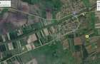 De Vanzare Teren Extravilan 12 Hectare Sanmihaiul Roman !! - 3