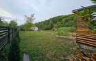 Teren 1000 mp cu tiny house, priveliste spre rau si padure- la 1h30 de Bucuresti - 4