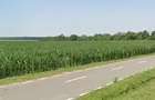 Teren Extravilan 5Hectare, Teren intravilan 2740 in comuna Birda- de vanzare - 2