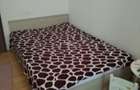 Apartament de 2 camere-decomandat-Alexandru - 2