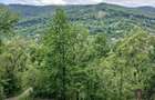 Vand Teren (Valea Doftanei) - 2