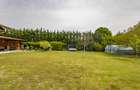 🌿 Proprietate exclusivistă lângă pădure | Dumbrăvița – zona Uranus - 3