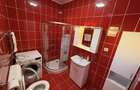Apartament 2 camere de inchiriat Zona Steaua, Timisoara - 3