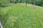 Teren intravilan de vanzare - 4