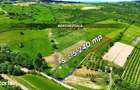 Teren cu panorama superba in Berchezoaia + bonus rulota - 7