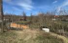 Teren Parcelabil I 11400 MP I Corpadea - 1