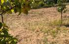 Vand teren intravilan - 3