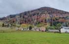 Teren intravilan, 1000 mp, zona Sud-Vest - Zarnesti