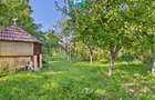 Casa cu 4 camere, curte ?i atelier mecanic - Sebe? - 16