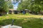 Casa de vanzare in mirificul sat cu balta de pescuit Conacul - 6