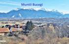Comision 0%! Teren superb de 17000mp la 5 min de Castelul Bran, 13 eur - 10