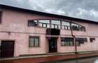 Spatiu comercial de vanzare, 300 mp, zona Burdujeni - 1