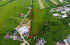 Teren industrial intravilan 9.810 mp Bascov, acces A1, E81 - 4