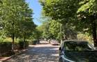 Apartament mare 3 Camere Aradului Nord stradă linistita - 11