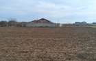 Vand teren intravilan construibil Crevedia-Darza STEJARULUI - 7