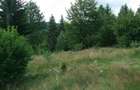 Baile Chirui ,teren 34500 mp , cabana 3 camere curent si apa ,5,5 Euro mp - 2