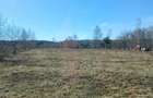 Teren de 6300 mp, în Râșca - 5