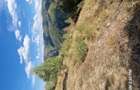 Vand doua parcele de teren in suprafa?a de 3000 ?i 4700 mp - 6