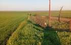 Relații la Nr de telefon 0774028335 - 3