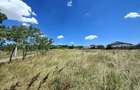 Teren intravilan Rachi?i 1513 mp - toate utilita?ile - 5