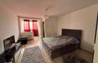 Garsoniera semidecomandata, 32mp, cartier Brazda lui Novac,zona Brigad - 6