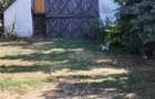 Casa de vanzare - Petresti (Satu Mare) - 4