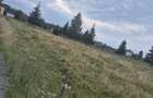 Teren de vanzare, pe Delut, Fundu Moldovei, Suceava - 4