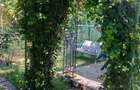 Apartament 4 camere Elisabetin curte comuna