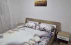 Proprietar, inchiriez apartament 2 camere complet utilat, langa Spitalul Sf. Pantelimon, bloc linistit - 8