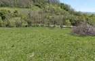 Teren intravilan 1400 m2 in Curteni, Santana de Mure? - la doar 10 minute de centrul Targu Mures - 5