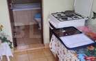 Oportunitate investitionala Casa cu teren extins in Comuna Geaca - 6