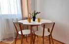 Campina - central - garsoniera mobilata - 250 Euro/Luna - 10