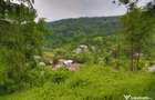 Teren de 2700 mp, în Telega - 11