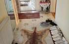 Casă cu Teren 1500 Mp în Mircea Vodă - 6