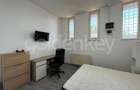 Spatiu comercial stradal, 162 mp - 11